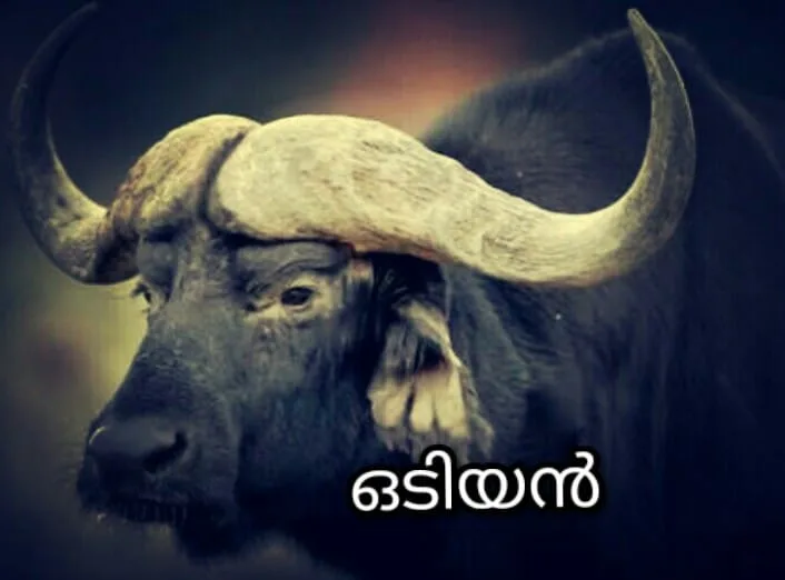 ഒടിയൻ malayalam story