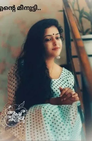 ente meenutti malayalam online novel to read