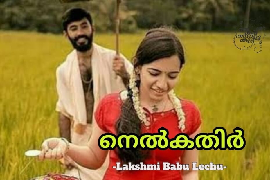 നെൽകതിർ