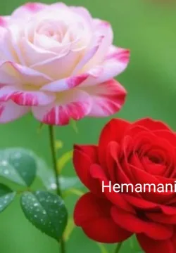 வசந்தம் பிறந்தது🌷🙏