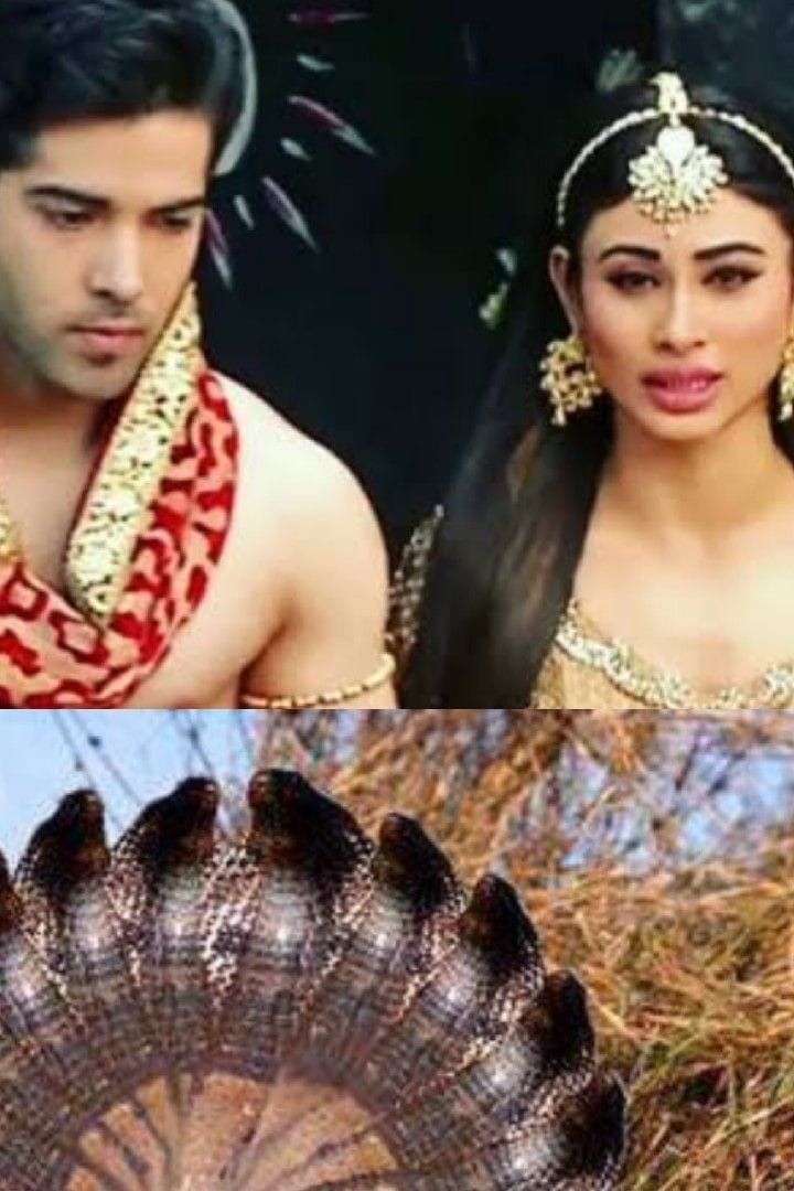 ๐เดจเดพเดเดเดจเตเดฏเด ๐