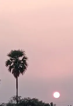 സ്നേഹത്തിന്റെ കൂട്ടിരിപ്പുകാർ