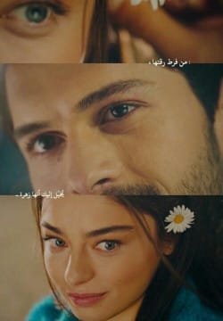 അല്ലിപ്പൂവ് 💮