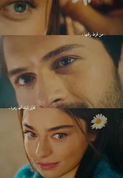 അല്ലിപ്പൂവ് 💮