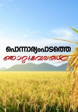 പൊന്നാര്യംപാടത്തെ ഞാറ്റുവേലകൾ