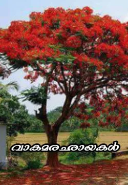 വാകമരഛായകൾ