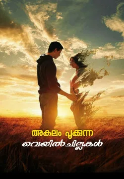 അകലം പൂക്കുന്ന വെയിൽ ചില്ലകൾ