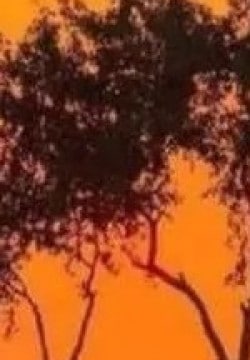 தாயின் வேதனை