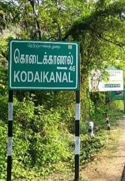 கொடைக்கானல்🌲🌳🪴