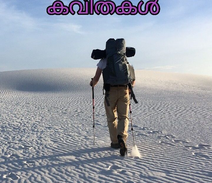 เดจเดฟเดจเดเตเดเดพเดฏเดฟ เดฎเดฒเดฏเดพเดณเด เดจเตเดตเตฝ