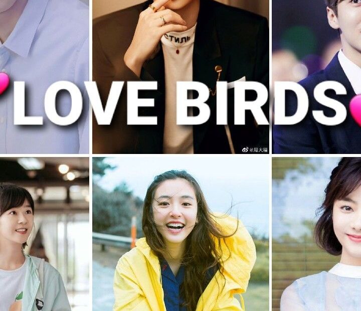 ๐LOVE BIRDS๐ เดฎเดฒเดฏเดพเดณเด เดจเตเดตเตฝ