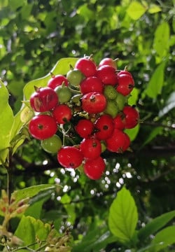 ഓർമ്മകൾക്കപ്പുറം